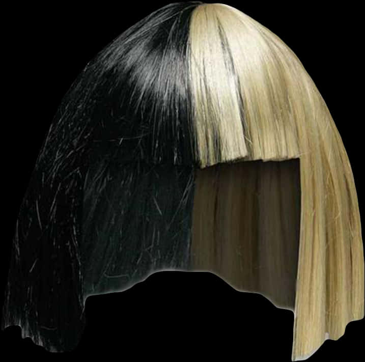 Two Tone Blackand Blonde Wig