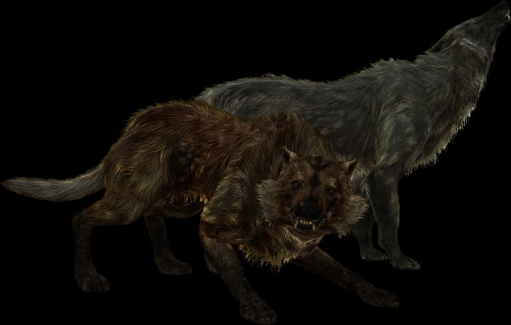 Two Wolves Standing Dark Background