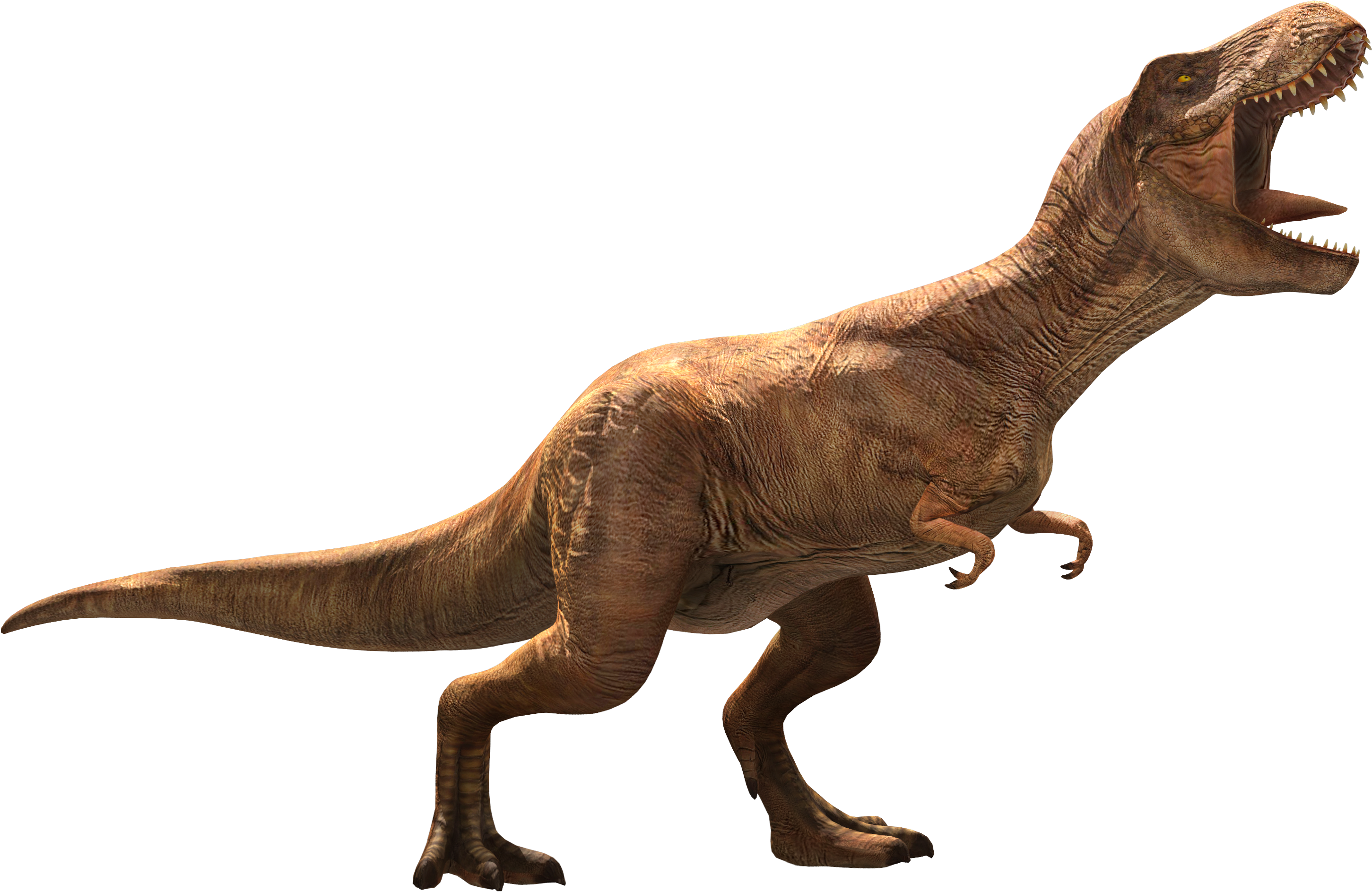 Tyrannosaurus Rex Full Body Render