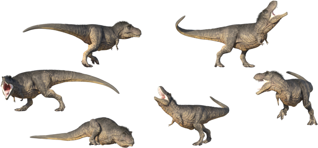 Tyrannosaurus Rex Poses Set