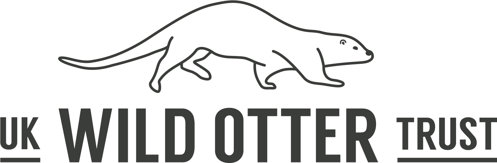 Uk Wild Otter Trust - Otter Trust, HD Png Download PNG with transparent background