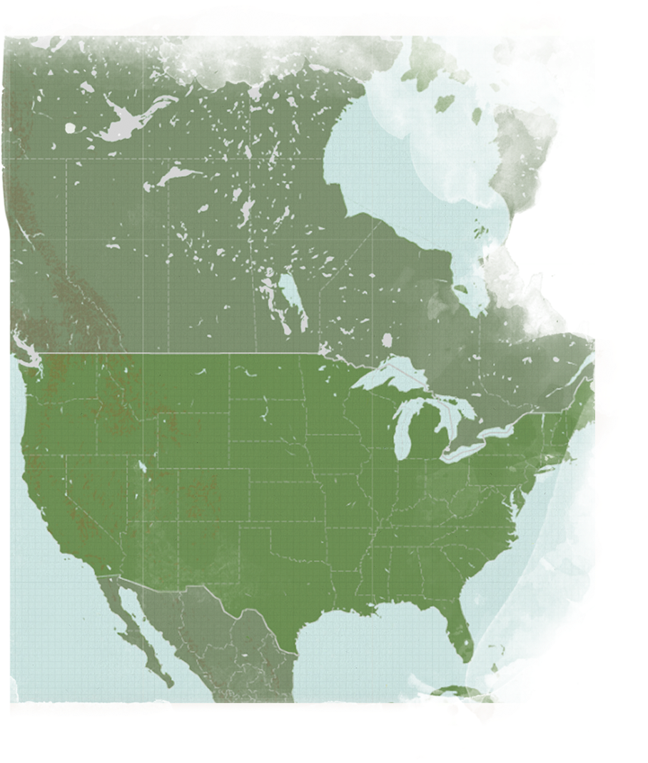 Map Of Usa Canada And Mexico, HD Png Download PNG image with a transparent background, free high-resolution download