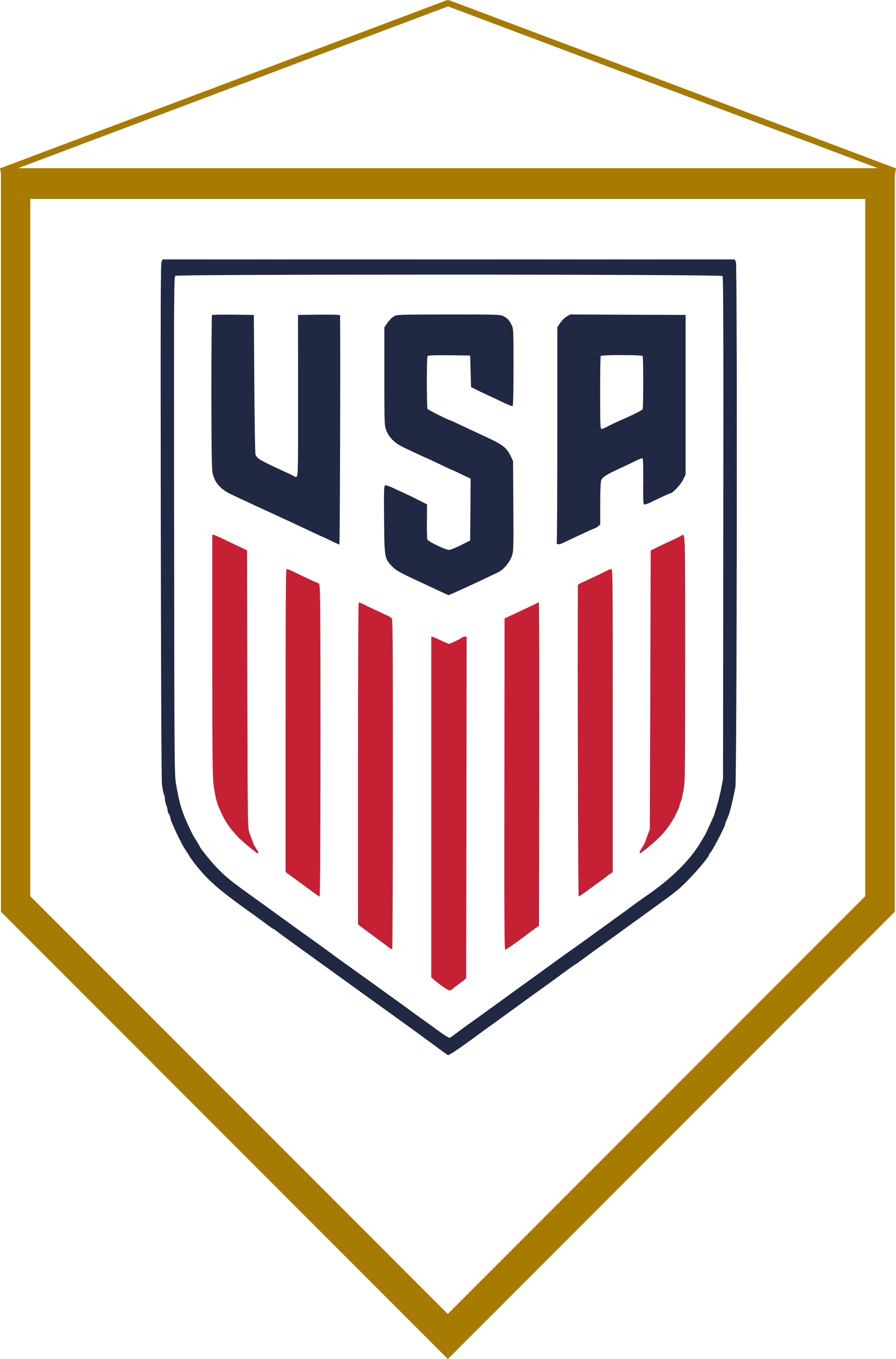 U S A Soccer Team Pennant