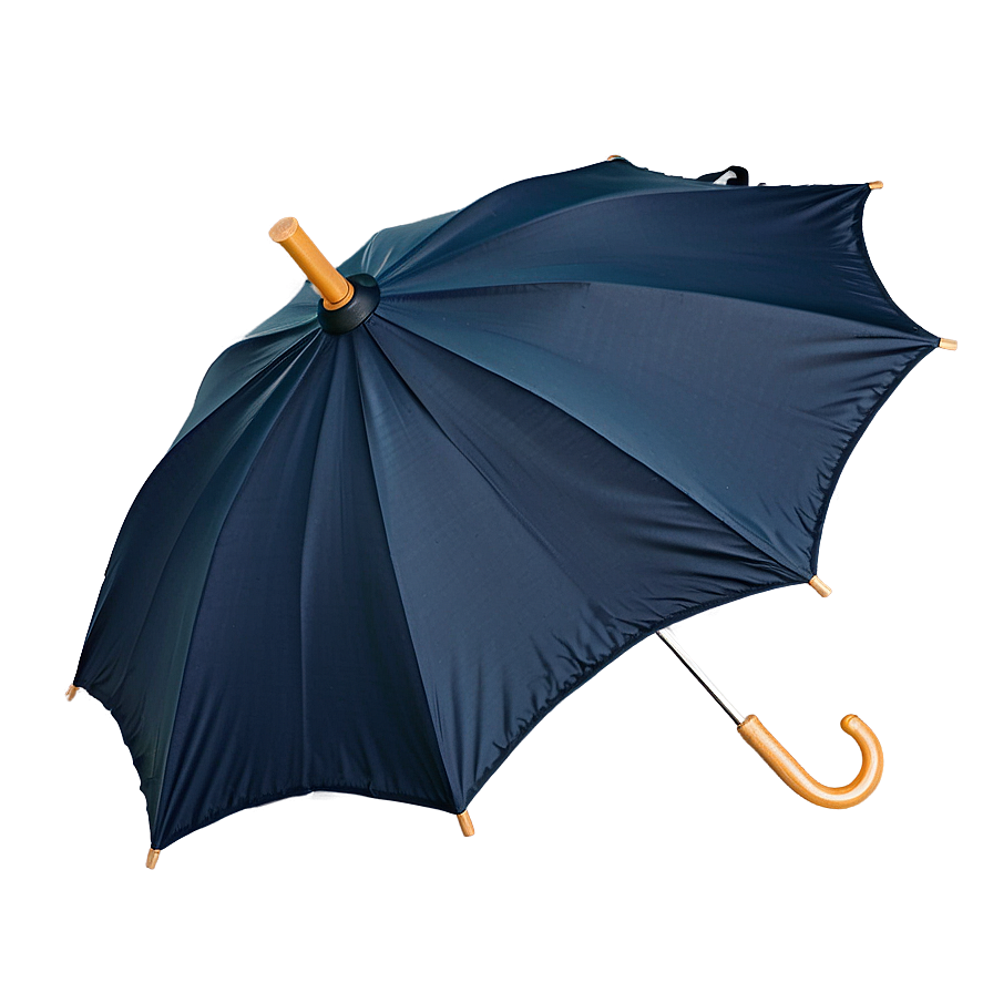 Umbrella Top View Png 05232024