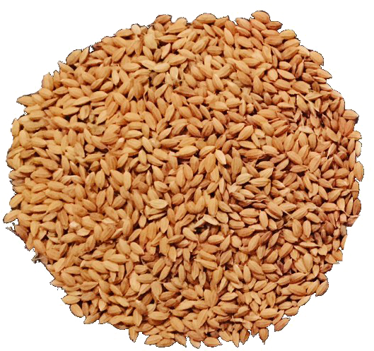 Food,whole Grain,brown Rice,grass - Brown Rice Png, Transparent Png PNG with transparent background