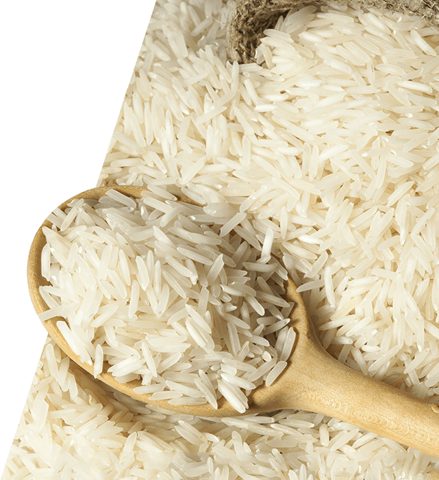 Rice PNG HD PNG with transparent background