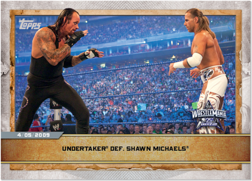 Undertakervs Shawn Michaels Wrestle Mania25