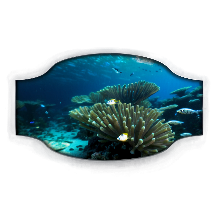 Underwater Adventure Png 06232024