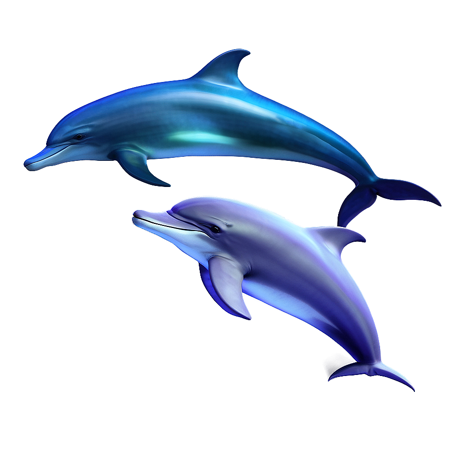 Underwater Dolphins Png 06112024