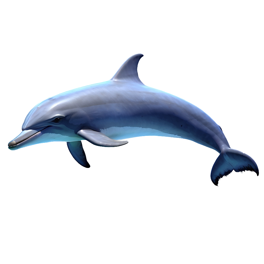 Underwater Dolphins Png 23