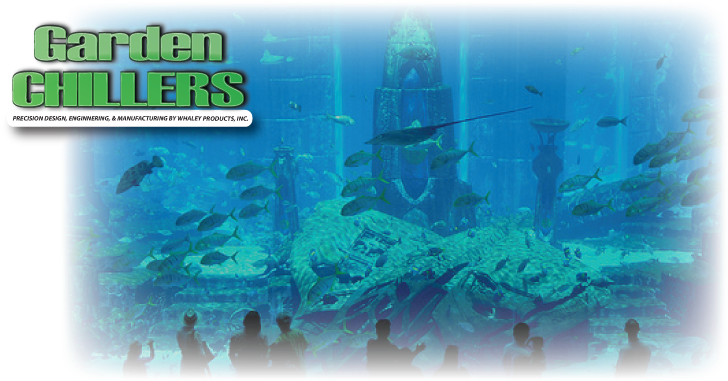 Underwater Observatory Viewing Aquatic Life PNG with transparent background