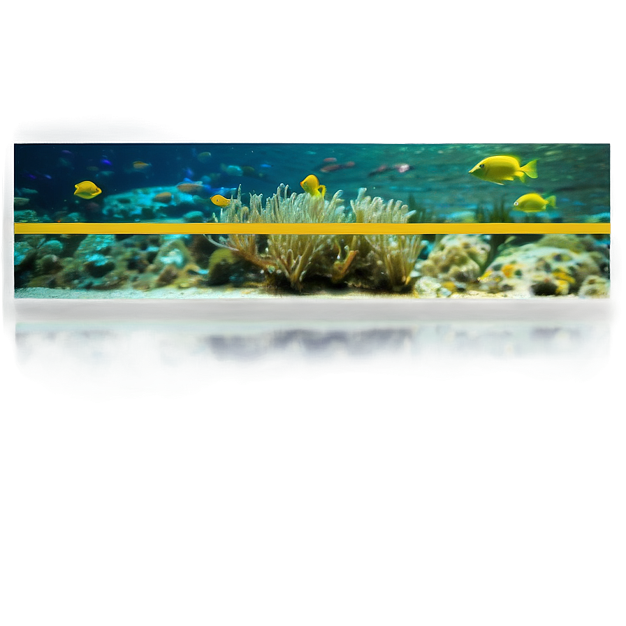 Underwater Ocean View Png 49