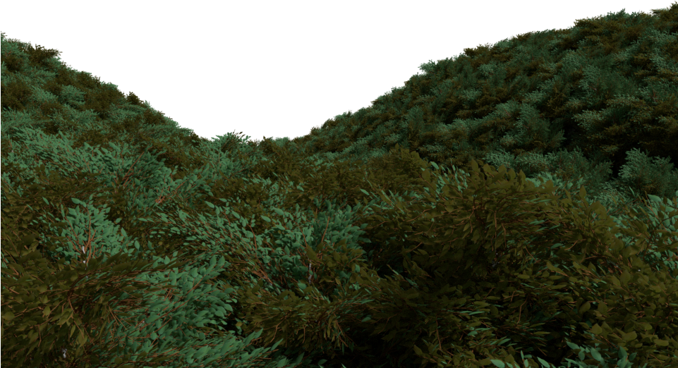 Underwater_ Seabed_ Foliage PNG with transparent background