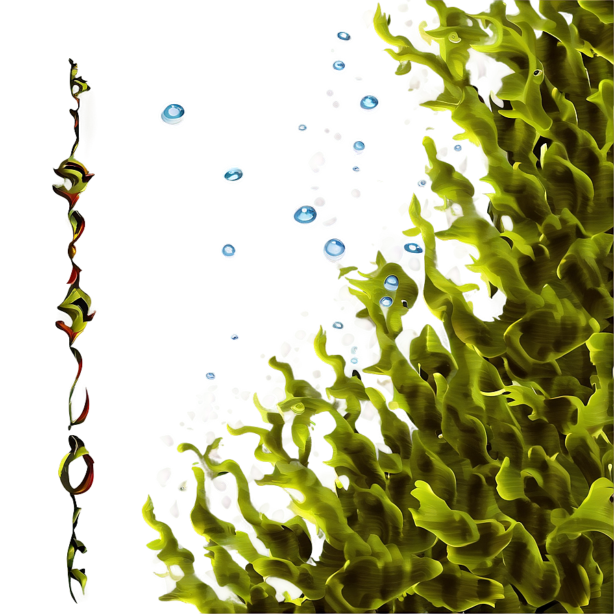 Underwater Seaweed Clipart PNG wfy PNG with transparent background