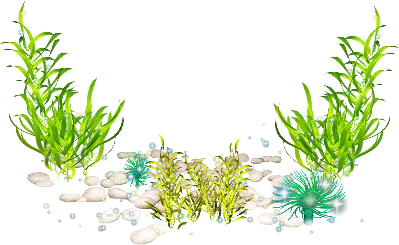 Underwater Seaweed Scene