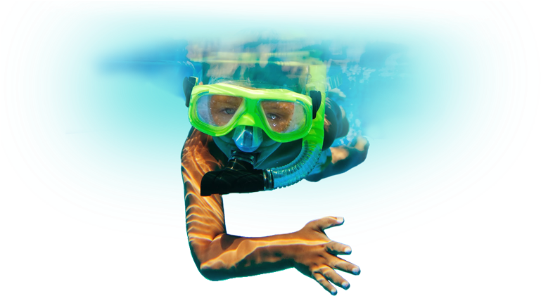 Snorkeling With Belize Pro Dive Center - Snorkelling Underwater Png Transparent, Png Download PNG with transparent background