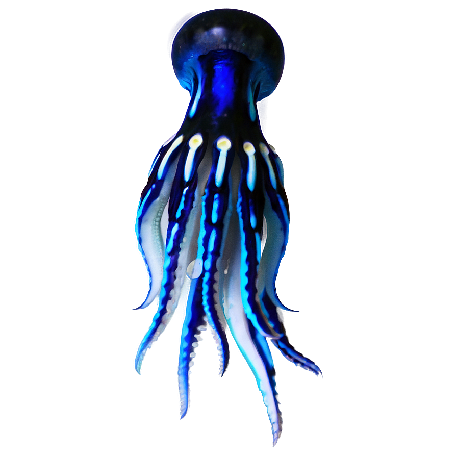 Underwater Squid Png Cvb