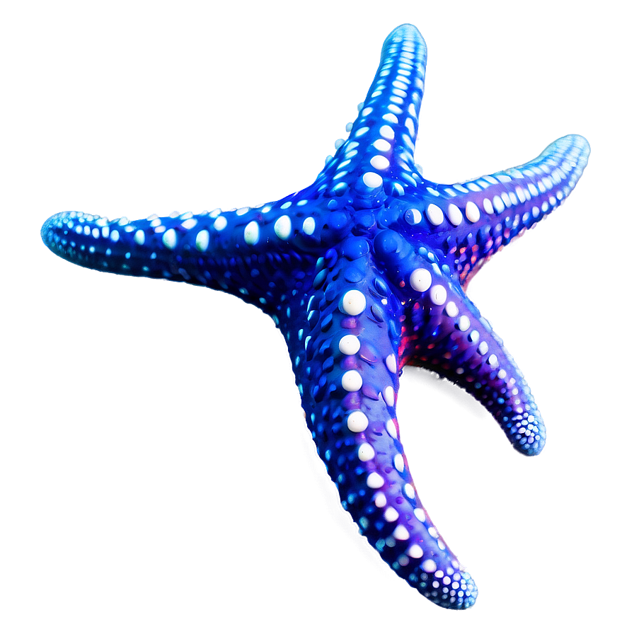 Underwater Starfish Png Qru