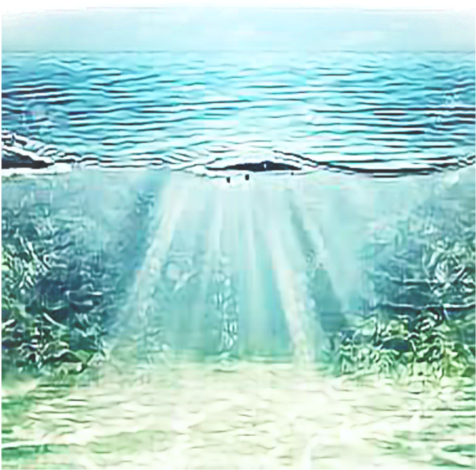 Underwater_ Sunbeams_ Aquatic_ View.jpg PNG with transparent background