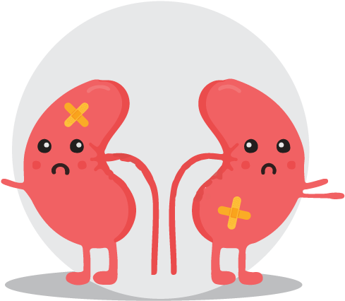 Kidney-stone - Kidney Stone Animation, HD Png Download PNG with transparent background