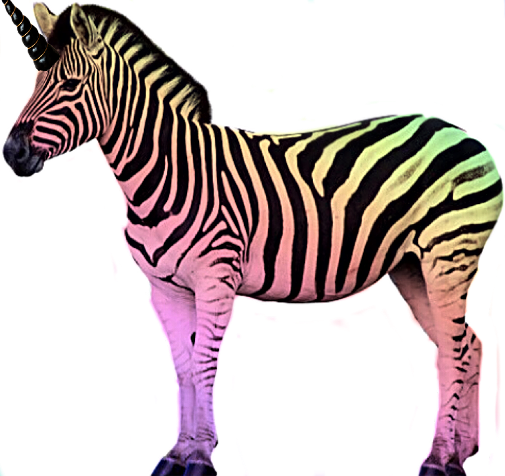 Unicorn Zebra_ Hybrid_ Illustration