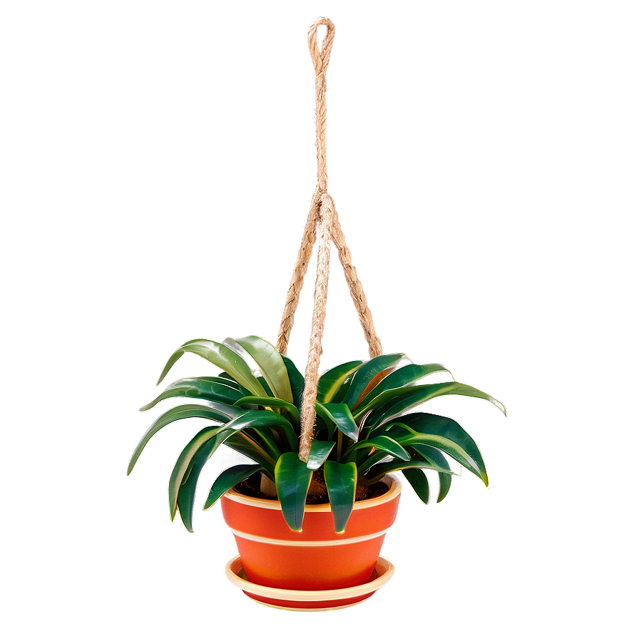 Unique Hanging Plant Png 05252024