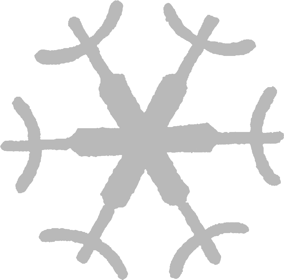 Unique Snowflake Pattern