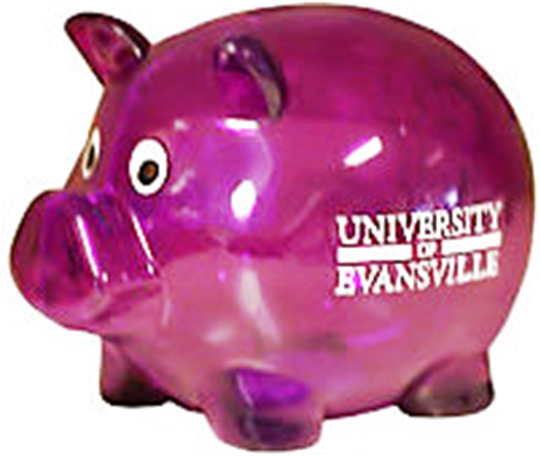 Universityof Evansville Purple Piggy Bank