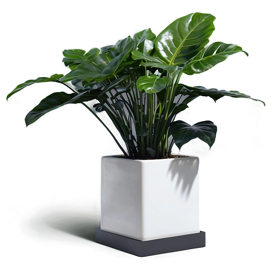 Urban Floor Plant Png Rmd47