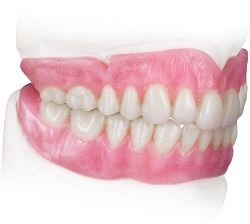 Vampire_ Teeth_ Prop_ Model.png