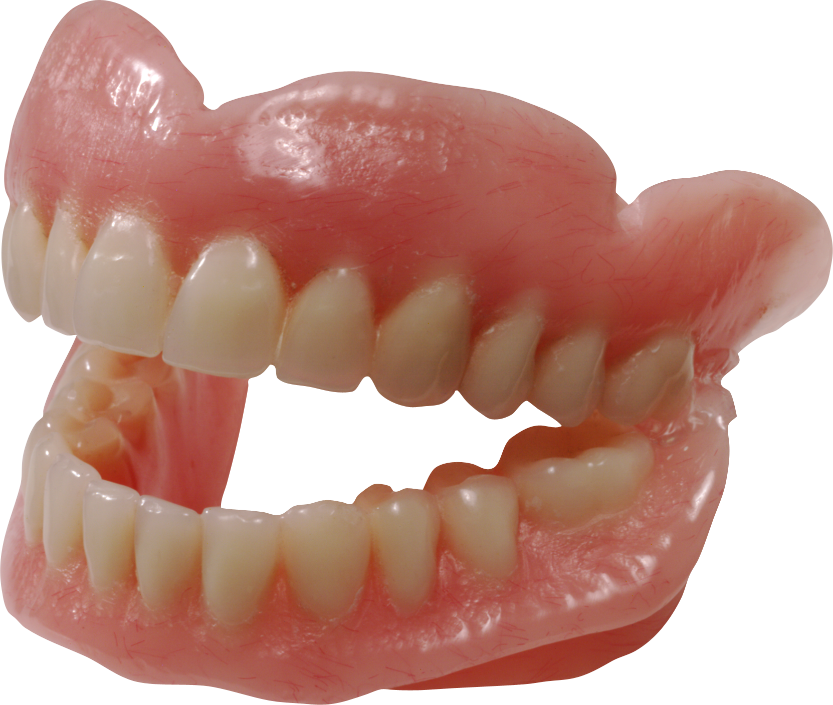 Vampire Teeth Prosthetic Prop