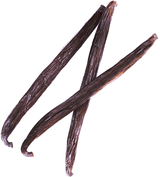 Vanilla Beans Isolated