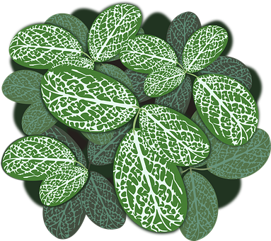 Variegated Leaves Pattern.jpg PNG with transparent background