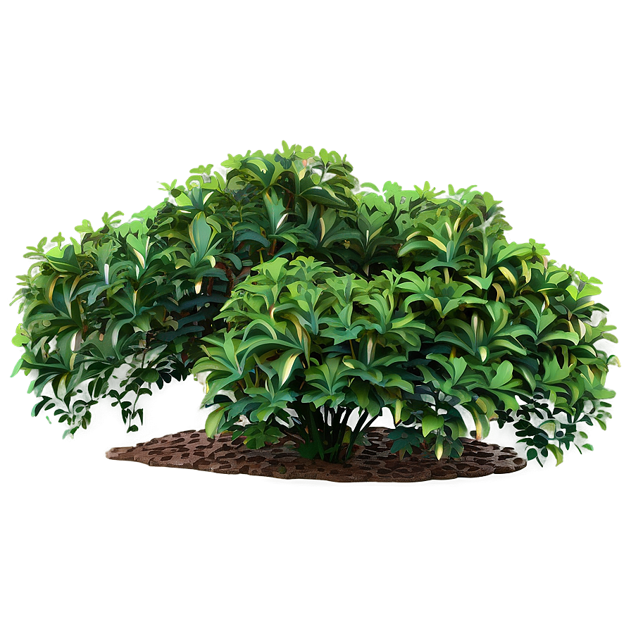 Variegated Shrubs Png Tpc51