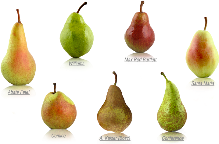 Pear Variety, HD Png Download PNG with transparent background