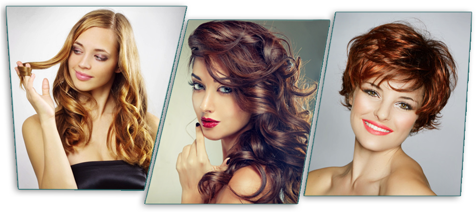 Variety Hairstyles Beauty Parlour