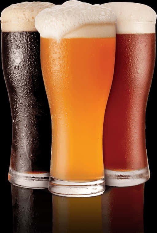 Varietyof Beersin Glasses PNG with transparent background