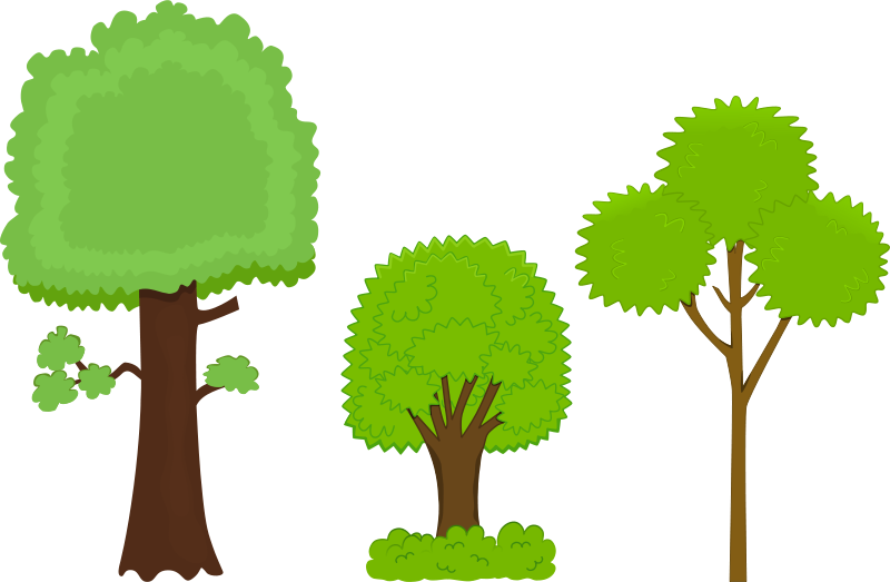 Varietyof Cartoon Trees Illustration PNG with transparent background