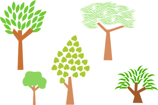 Varietyof Cartoon Trees Vector PNG with transparent background