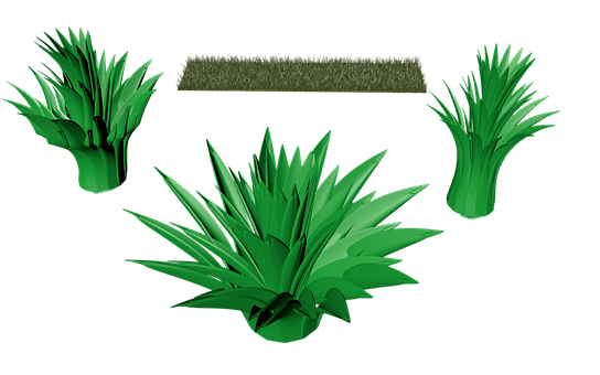 Varietyof Green Grass Clumps PNG with transparent background