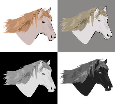 Varietyof Horse Heads Illustration