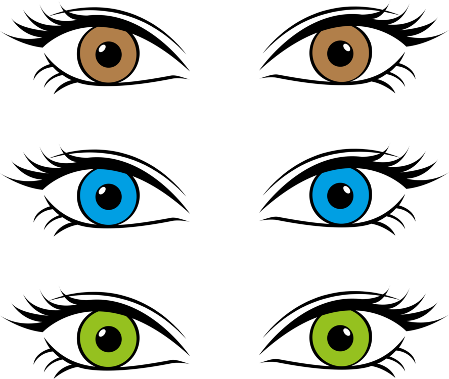 Eye Color Retina Iris, HD Png Download PNG with transparent background