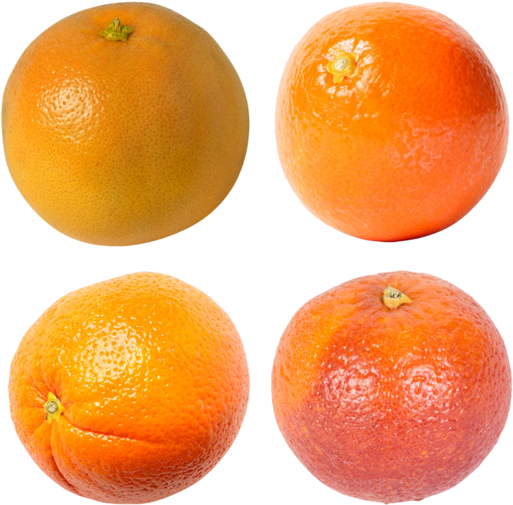 Varietyof Mandarins Image