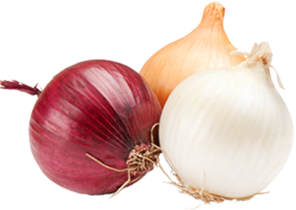 Onions Onions Png - Transparent Picture Of Onions, Png Download PNG with transparent background