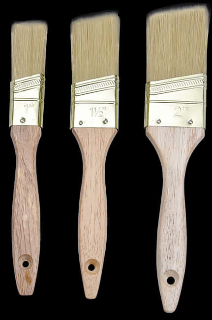 Varietyof Paint Brushes