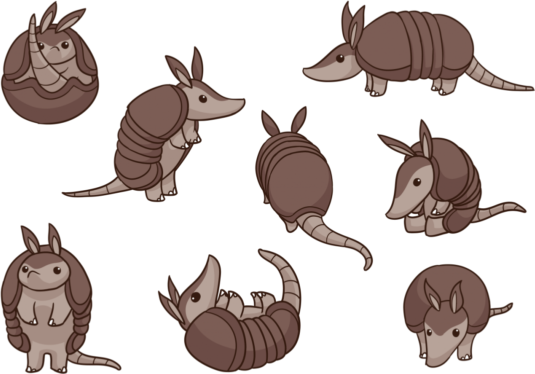 Various Armadillo Poses Cartoon Style