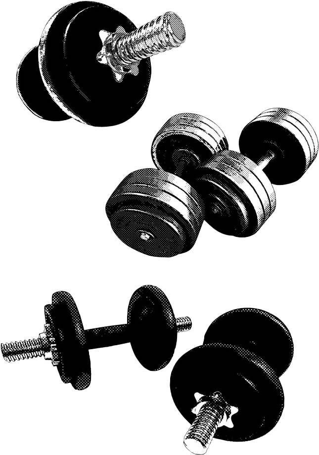 Various Dumbbellsand Barbell Set