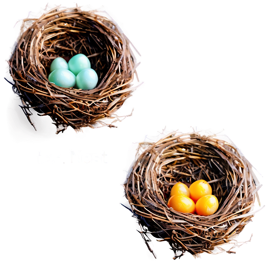 Vector Bird Nest Png 38