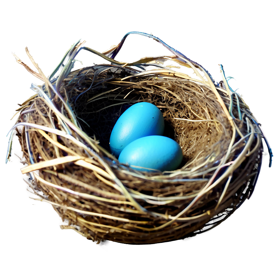 Vector Bird Nest Png 62