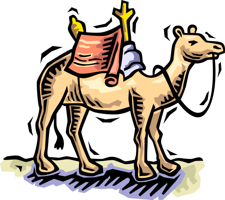 Vector Illustration Of Beast Of Burden Camel Dromedary - Camel Clip Art, HD Png Download PNG with transparent background
